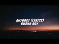 Download Lagu Burna Boy - Anybody (Lyrics)