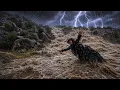 A Powerful Storm in the Zagros Ismat Trapped in Heavy Rain After Collecting Wild Pears