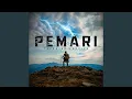 Download Lagu Pemari (Trending Version)