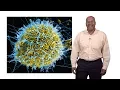 Paul E Turner Yale 1 Introduction to Virus Ecology and Evolution