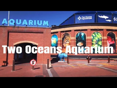 Download MP3 Two Oceans Aquarium, Cape Town, South Africa