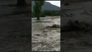 الحمدلله علا النعمة الامطار 