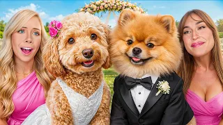 OUR DOGS GOT MARRIED!
