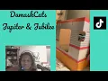 Boots Barkley Cat Scratcher Live Build
