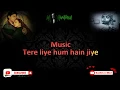 Download Lagu Tere Liye (Veer Zara) Karaoke With Lyrics