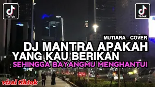 dj mantra apakah yang kau berikan sehingga bayangmu menghantui mutiara ipank cover viral tiktok