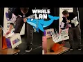Linus Drops Expensive Hardware at Whale LAN