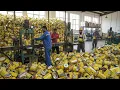 Lagu Inside the Largest Oil Tin Boxes Recycling Factory – How Oil Tins are Recycled to Make Cans