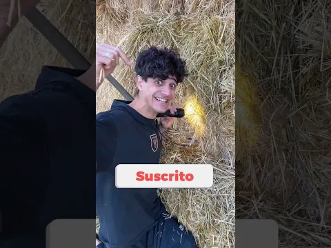 PIERDO las LLAVES del TRACTOR en un PAJAR!
