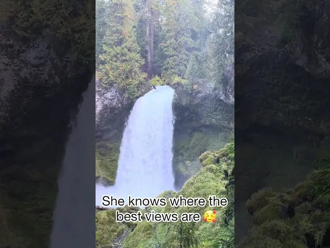 She’s just the best trail guide 🐾🥾❤️ #waterfall #pnwlife #doglife #nature