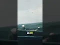 Download Lagu De verborgen reden waarom Amerika zich bij de Tweede Wereldoorlog aansloot 😱 (Niet wat je denkt)