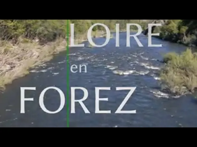 ⁣𝟰𝟮𝗧𝗩 Reportages | Loire en Forez dévoile ses splendeurs