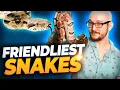 The 5 Friendliest Pet Snakes You Can Own Meet My New and Rare Snake