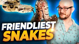 The 5 Friendliest Pet Snakes You Can Own Meet My New and Rare Snake