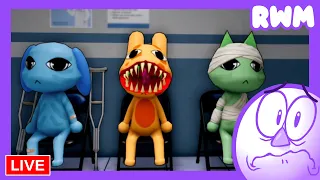 Animal Hospital