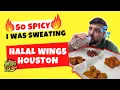 Halal Food Review in HOUSTON TX - Halal Boneless Wings at Wing Station