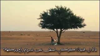 هي الدنيا ورب البيت تفنى دندنها