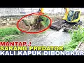 Download Lagu Part 6!Sarang Predator Kali Kapuk Bekasi Kota Dibongkar