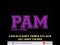 PAM {New Version} - J Quiles, Daddy Yankee & El Alfa feat. Lenny Tavárez