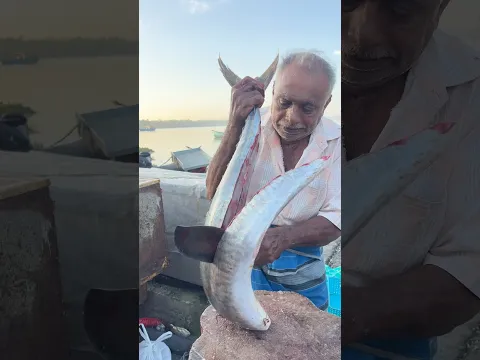 Amazing 🤩 Big Size King Fish Cutting #vibe #fishcutting #youtubeshorts