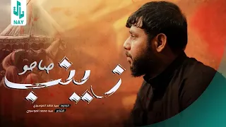 سيد فاقد الموسوي Ll زينب صاحو 2017 Video 