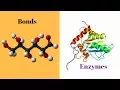 Study with me Biology Microbiology Enzymes and Bonds