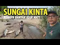 Download Lagu Adakah Sungai Kinta Semakin PARAH?, Kenapa Banyak Ikan MATI! Batal Camping