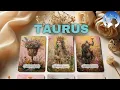 Download Lagu TAURUS ❤️✨, COMING IN HOT🥵🔥THEY CAN’T HOLD BACK ANY LONGER!! THIS OFFER WILL LEAVE YOU SHOCKED😱