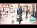 How To Spend One Day in New Orleans With Your Dog