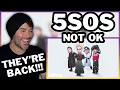 Download Lagu Metalzanger reageert - 5 Seconds of Summer - NIET OK