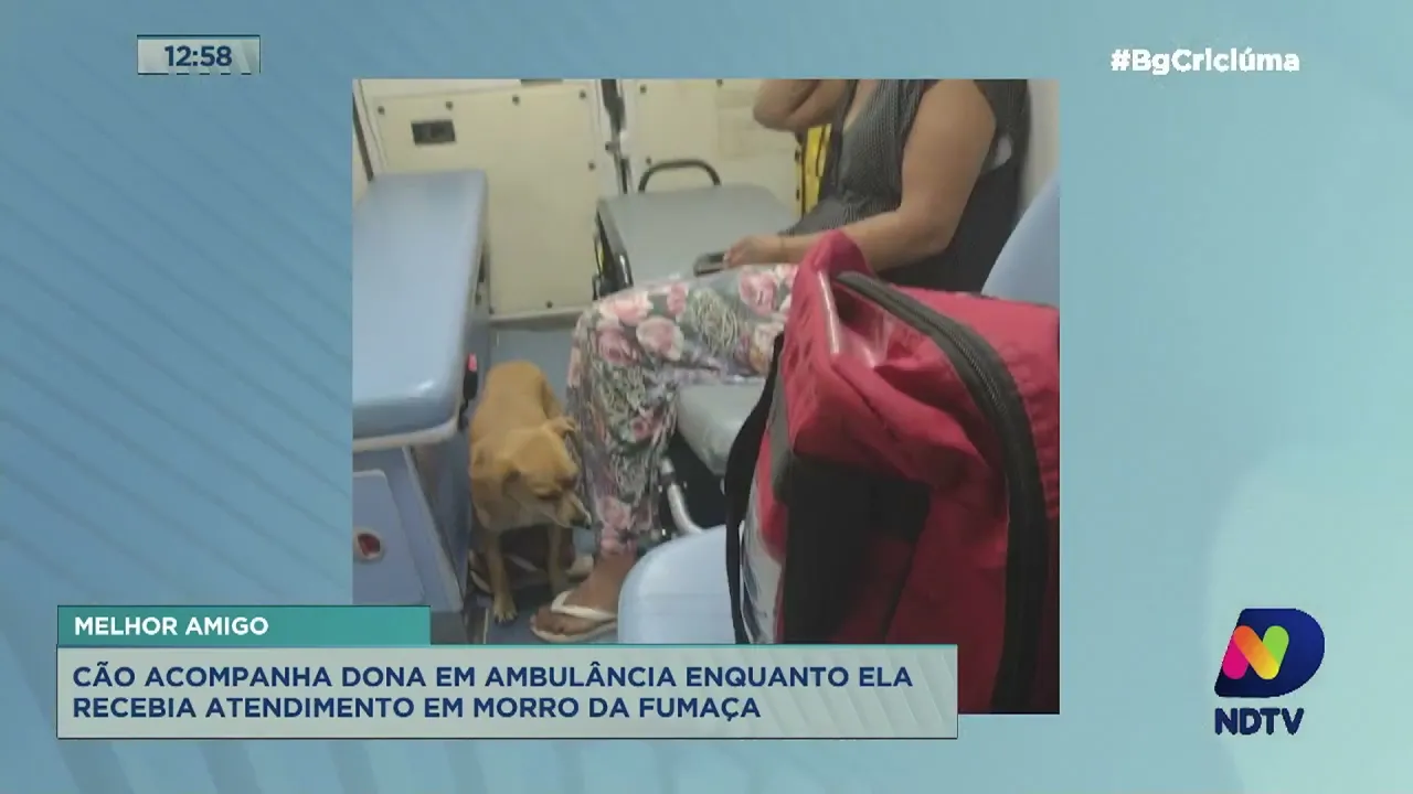 Cão acompanha dona em ambulância e hospital enquanto ela recebia atendimento em Morro da Fumaça