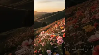 محمداللحيدان سورة الانسان كاسا كان مزاجها زنجبيلا 