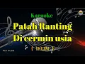 Download Lagu Patah Ranting Di Cermin Usia_Iklim_Karaoke Version_Nada Rendah