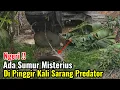 Download Lagu Ngeri‼️Ada Sumur Misterius Di Pinggir Kali Sarang Predator