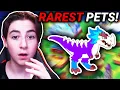 Prodigy Math Game - Top 5 RAREST Pets RARE