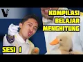 Download Lagu ♫ Belajar Menghitung Sesi 1 Kompilasi - #ArmanVesona