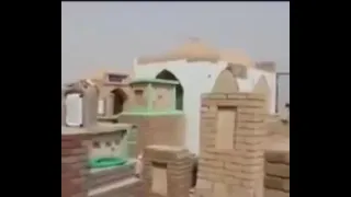 وينه ذاك السانك الماينكدر كونك كدها كوم وفلش الكبر 