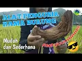 Lagu Alat Sederhana Pengusir Hama Burung di Sawah | Sekolah Alam Pacitan