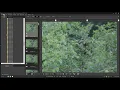 Digital Photo Professional On How To Crop A Image