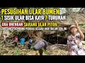 Download Lagu Ngeri !! Mbah Jumain menunjukkan lokasi goa ular yang menjadi tempat pesugihan paling topcer