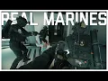 Download Lagu REAL Marines DESTROY the Hospital MAP on Ready or Not Adam update! #marines  #readyornotgame