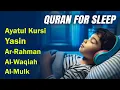 Download Lagu Best Quran For Sleep And Your All Problems Solve | By Alaa Aqel |  Relaxing - Holy Quran