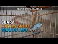 Download Lagu Cuitan Kenari Untuk Merangsang Kenari Paud || Kenari Abu Gacor Cocok Untuk Pancingan Kenari Macet