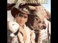Te Quedas O Te Vas - Alejandro Fernandez
