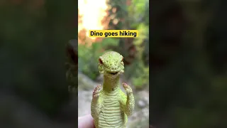 Dino (our mascot) loves hiking with us. #hike #hiking #adventure #backpackers #dinothedino
