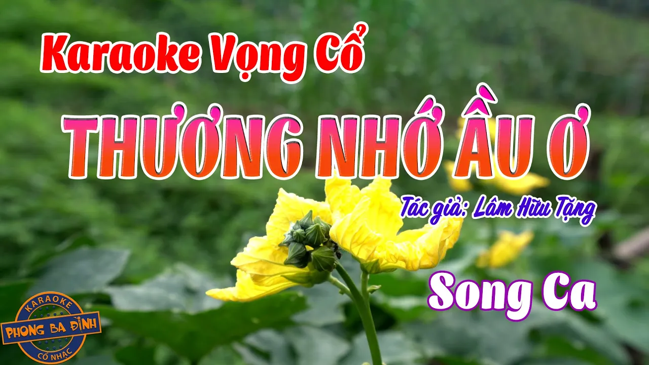 Vọng Cổ | THƯƠNG NHỚ ẦU Ơ | Song ca - Tác giả: Lâm Hữu Tặng