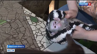 В иркутском зоопарке «Дом природы» стало на одного жителя больше