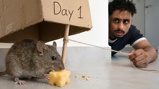 لقيت فار مجنون عندي بالبيت !