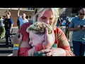 Download Lagu 2 Children Killed, 17 Injured After Minneapolis School Shooting