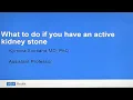 What To Do If You Have an Active Kidney Stone Kymora Scotland MD P UCLA Urology